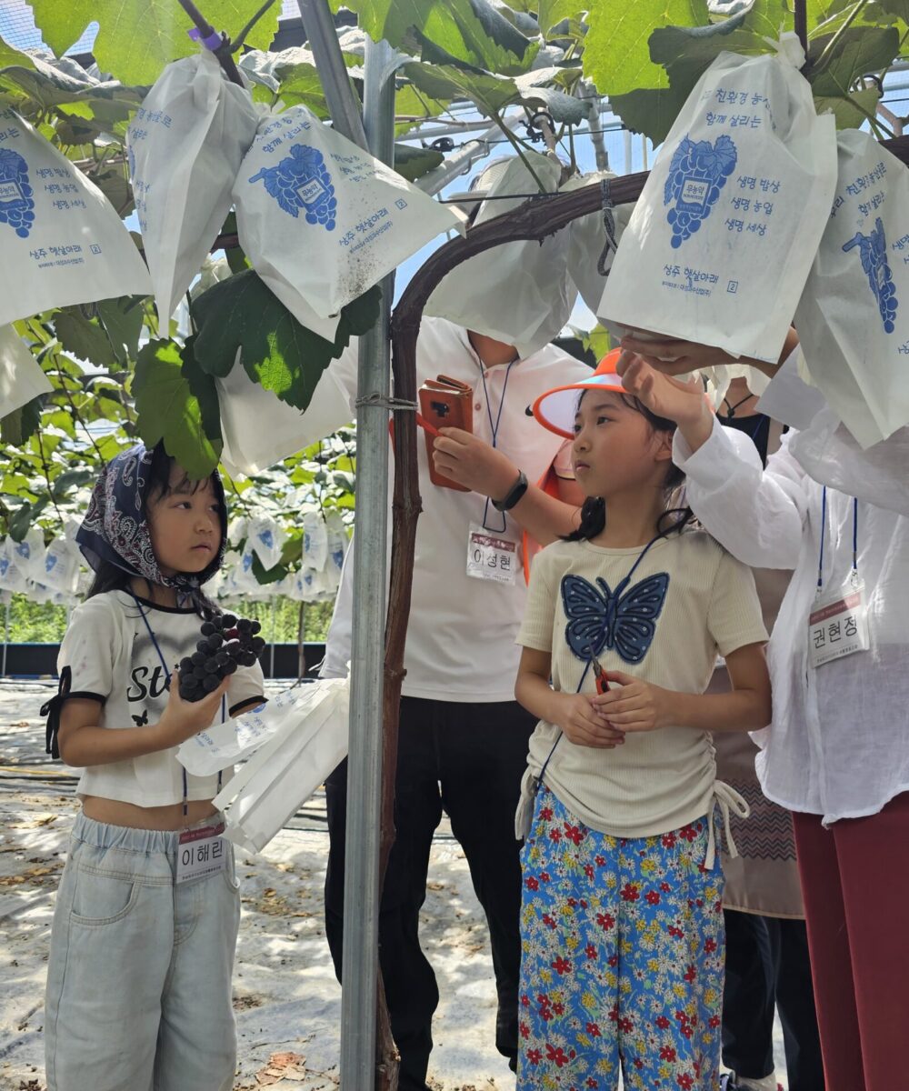 KakaoTalk_20251120_172722272_01