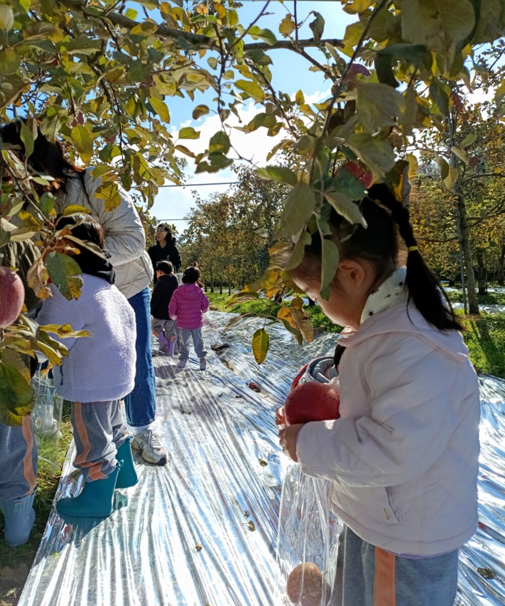 KakaoTalk_20251120_172722272_02